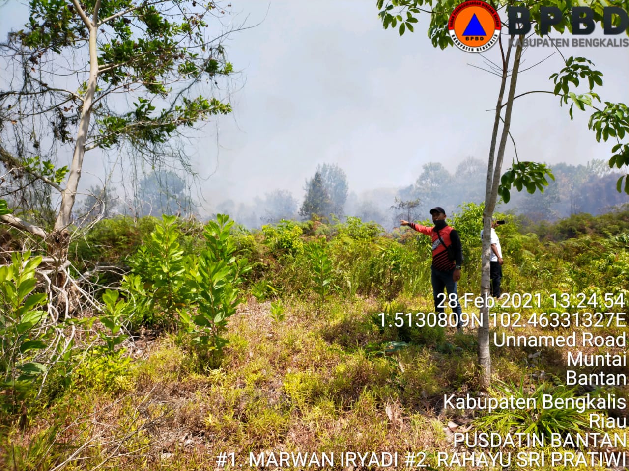 Petugas Pusdatin BPBD Kec. Bantan Sdr. Marwan Meninjau Langsung Ke Lokasi Kebakaran Lahan di Desa Pambang Pesisir