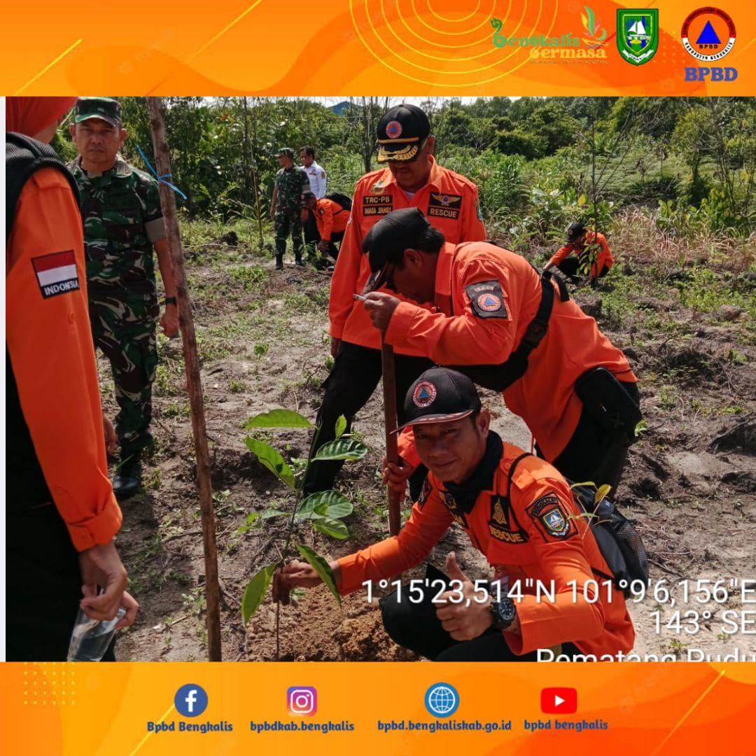 BPBD Bengkalis Hadiri Launching Penghijauan Tanam Pohon di Kel. Pematang Pudu Mandau Ditaja Korem 031/WB dan PT PHR